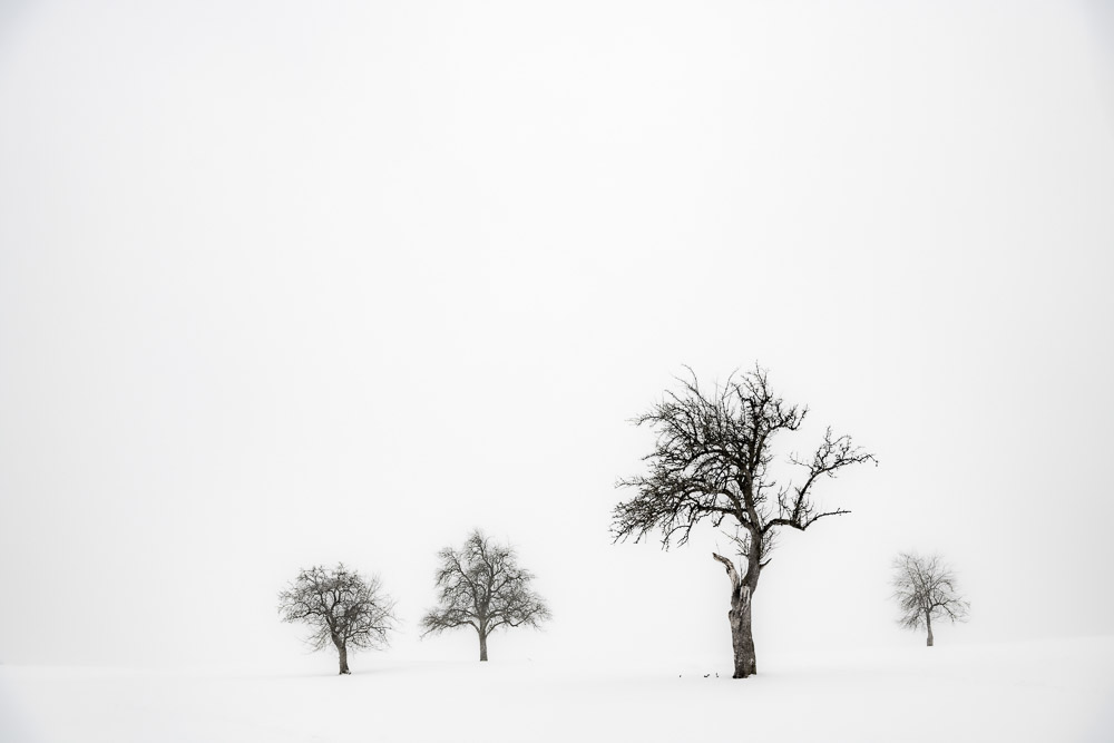 Platz 7 Robert Seitz